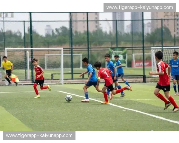 绿茵逐梦，荣耀之战：伯恩利与赫尔城，英格兰足球的忠诚与激情