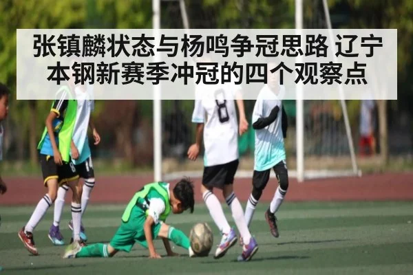 张镇麟状态与杨鸣争冠思路 辽宁本钢新赛季冲冠的四个观察点 - kaiyun